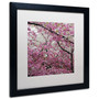 Trademark CATeyes "Cherry Blossoms 2014-3" Art, White Matte W/Black Frame, 16" x 16" (65dcf1cfe8837636b11a0248_ud)