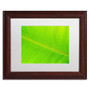 Trademark Fine Art Cora Niele 'Leaf Texture II' 11" x 14" Matted Framed (190836314386)