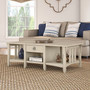 Bush Furniture Salinas 48" x 16" Coffee Table with Storage, Antique White (SAT248AW-03)
