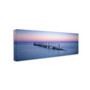 Trademark David Evans "Quindalup-WA" Gallery-Wrapped Canvas Art, 8" x 24" (65dcf240e8837636b11a0744_ud)