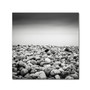 Trademark Fine Art Dave MacVicar 'Pebble Beach' 35 x 35 (ALI0844-C3535GG)