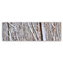 Trademark Fine Art Gregory O'Hanlon 'Winter Impressions' 8 x 24 (GO0045-C824GG)
