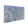 Trademark Kurt Shaffer "Frost Pattern #6" Gallery-Wrapped Canvas Art, 22" x 32" (65dcf259e8837636b11a08aa_ud)
