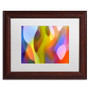 Trademark Fine Art Amy Vangsgard 'Dappled Light 2' 11" x 14" Matted Framed (886511934290)