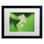 Trademark Fine Art Monica Mize 'Beginning' 16 x 20 (MF134-B1620MF)