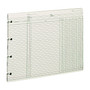 Wilson Jones Ledger Paper, Balance Ledger, 9 1/4" x 11 7/8", Green, 100 Sheets (WLJGN2D)