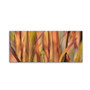 Trademark Fine Art Cora Niele 'Autumn Grass Scape' 8" x 19" Canvas Stretched (190836317134)