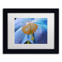 Trademark Fine Art Cora Niele 'Blue Poppy' 11" x 14" Matted Framed (190836247509)