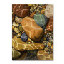Trademark Fine Art Stephen Stavast 'Trip the Light Fantastic' 24 x 32 (ALI0748-C2432GG)