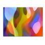 Trademark Fine Art ''Dappled Light 5'' by Amy Vangsgard  24" x 32" Canvas Art (AV0103-C2432GG)
