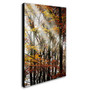 Trademark Philippe Sainte-Laudy "Just the Light" Gallery-Wrapped Canvas Art, 22" x 32" (65dcf348e8837636b11a145a_ud)