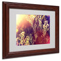 Trademark Fine Art 11" x 14" Painting Light, Wood Frame (65dcf358e8837636b11a1487_ud)
