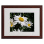 Trademark Monica Fleet "Dominating Beauty" Art, White Matte W/Wood Frame, 16" x 20" (65dcf363e8837636b11a14c3_ud)