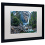 Trademark David Ayash "Yosemite...California-IV" Art, White Matte With Black Frame, 16" x 20" (65dcf364e8837636b11a14d6_ud)