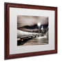Trademark David Ayash "NYC" Art, White Matte With Wood Frame, 16" x 20" (65dcf395e8837636b11a15a9_ud)
