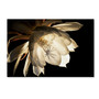 Trademark Fine Art ''Midnight Portrait'' by Kurt Shaffer 22" x 32" Canvas Art (KS01085-C2232GG)