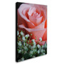 Trademark Monica Fleet "Snug Blossom" Gallery-Wrapped Canvas Art, 16" x 24" (65dcf3b7e8837636b11a163d_ud)