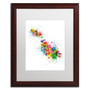 Trademark Fine Art ''Malta Map Paint Splashes'' by Michael Tompsett 16" x 20" White Matted Wood Frame (MT0508-W1620MF)