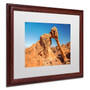 Trademark Pierre Leclerc "Elephant Rock" Art, White Matte W/Wood Frame, 16" x 20" (65dcf3efe8837636b11a1774_ud)