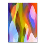 Trademark Fine Art ''Dappled Light 4'' by Amy Vangsgard  35" x 47" Canvas Art (AV0102-C3547GG)