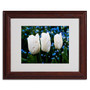 Trademark Kurt Shaffer "Three Parrot Tulips" Art, White Matte W/Wood Frame, 11" x 14" (65dcf42ce8837636b11a1882_ud)