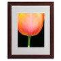 Trademark Kathie McCurdy "Orange Tulip" Art, White Matte With Wood Frame, 16" x 20" (65dcf42ce8837636b11a189d_ud)