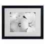 Trademark Kathie McCurdy "Sheer Malva" Art, White Matte With Black Frame, 16" x 20" (65dcf42ce8837636b11a189e_ud)