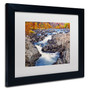 Trademark CATeyes "Great Falls" Art, White Matte W/Black Frame, 11" x 14" (65dcf438e8837636b11a18c5_ud)