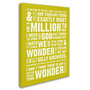 Trademark Megan Romo "Wonder as Worship VI" Gallery-Wrapped Canvas Art, 14" x 19" (65dcf476e8837636b11a19d4_ud)