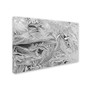 Trademark Kurt Shaffer "Frost Pattern #4" Gallery-Wrapped Canvas Art, 22" x 32" (65dcf4b7e8837636b11a1ad4_ud)