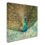 Trademark Danhui Nai "Teal Peacock on Gold" Gallery-Wrapped Canvas Art, 14" x 14" (65dcf4b7e8837636b11a1adc_ud)