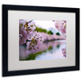 Trademark CATeyes "Cherry Blossoms 2014-2" Art, White Matte W/Black Frame, 16" x 20" (65dcf4e5e8837636b11a1b6c_ud)