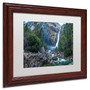 Trademark David Ayash "Yosemite...California-IV" Art, White Matte With Wood Frame, 11" x 14" (65dcf516e8837636b11a1c40_ud)