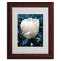 Trademark Kurt Shaffer "Parrot Tulip" Art, White Matte With Wood Frame, 11" x 14" (65dcf522e8837636b11a1c62_ud)