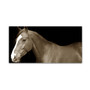 Trademark Fine Art ''Horse Portrait 2'' by Preston 16" x 32" Canvas Art (EM0530-C1632GG)
