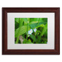 Trademark Fine Art Monica Mize 'Limited Perfection' 11 x 14 (MF154-W1114MF)