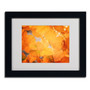 Trademark Philippe Sainte-Laudy "Seasonal Leaves" Art, White Matte With Black Frame, 11" x 14" (65dcf562e8837636b11a1d80_ud)