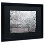 Trademark CATeyes "Cherry Blossoms 2014-4" Art, Black Matte W/Black Frame, 16" x 20" (65dcf56de8837636b11a1dc8_ud)