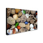 Trademark Michelle Calkins "Petoskey Stones lll" Gallery-Wrapped Canvas Art, 22" x 32" (65dcf579e8837636b11a1de1_ud)