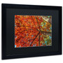 Trademark David Ayash "New York Fall-II" Art, Black Matte With Black Frame, 16" x 20" (65dcf585e8837636b11a1e24_ud)