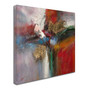 Trademark Ricardo Tapia "Bounce" Gallery-Wrapped Canvas Art, 24" x 24" (65dcf586e8837636b11a1e39_ud)