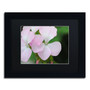 Trademark Fine Art Monica Mize 'Devine Feel' 11 x 14 (MF139-B1114BMF)