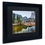 Trademark David Ayash "Yosemite...California-III" Art, Black Matte With Black Frame, 11" x 14" (65dcf592e8837636b11a1e6d_ud)