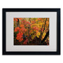 Trademark Kurt Shaffer "Brilliant Autumn Forest" Art, White Matte With Black Frame, 16" x 20" (65dcf59de8837636b11a1e8b_ud)