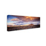 Trademark David Evans "Edeowie-Flinders Ranges" Gallery-Wrapped Canvas Art, 8" x 24" (65dcf59de8837636b11a1e8f_ud)