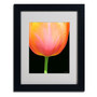 Trademark Kathie McCurdy "Orange Tulip" Art, White Matte With Black Frame, 11" x 14" (65dcf5a9e8837636b11a1ec3_ud)
