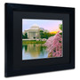 Trademark CATeyes "Cherry Blossoms 2014-6" Art, Black Matte W/Black Frame, 11" x 14" (65dcf5a9e8837636b11a1edd_ud)