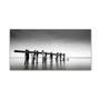 Trademark Fine Art Dave MacVicar 'Defiance' 12 x 24 (ALI0827-C1224GG)