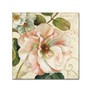 Trademark Fine Art Lisa Audit 'Les Jardin II' 18 x 18 (WAP0202-C1818GG)