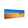 Trademark David Evans "Burra Homestead-SA" Gallery-Wrapped Canvas Art, 16" x 47" (65dcf5e4e8837636b11a1fc8_ud)